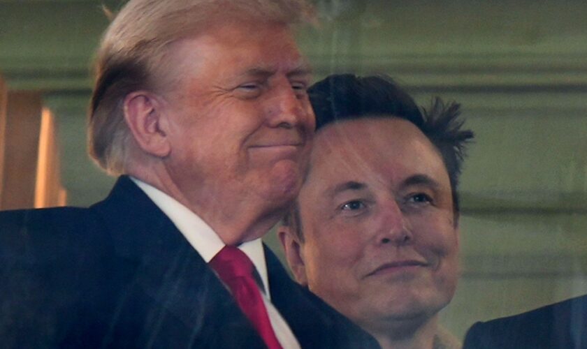 Donald Trump and Elon Musk. Pic: AP