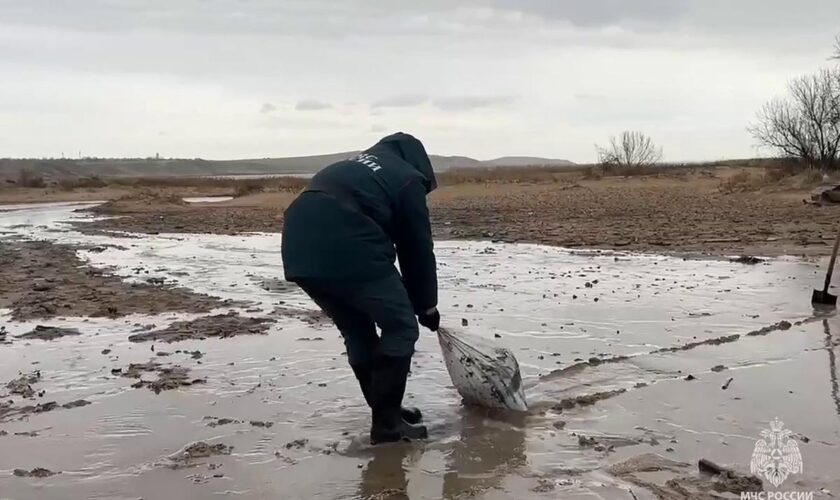 Une marée noire en Russie et en Crimée s’étend jusqu’à Sébastopol, base de la flotte russe en mer Noire