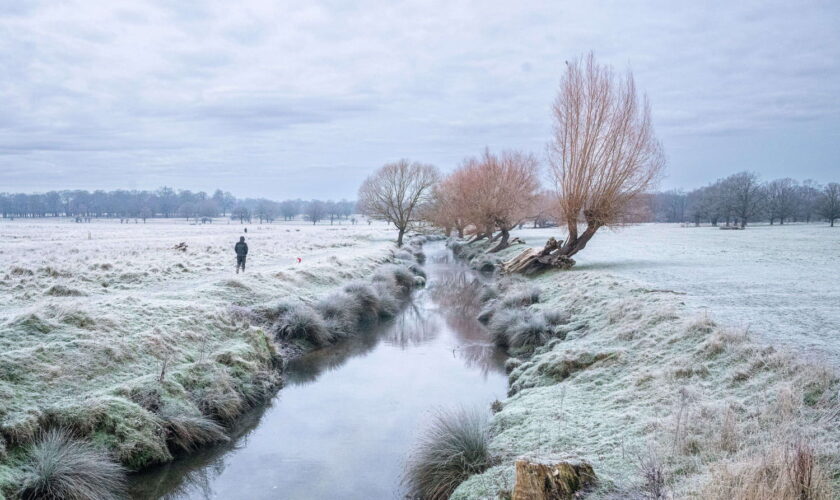 Neige et verglas en France : quels sont les départements concernés ce samedi ?