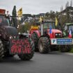 Les syndicats agricoles reçus à Matignon le 13 janvier, la CR maintient son appel à manifester