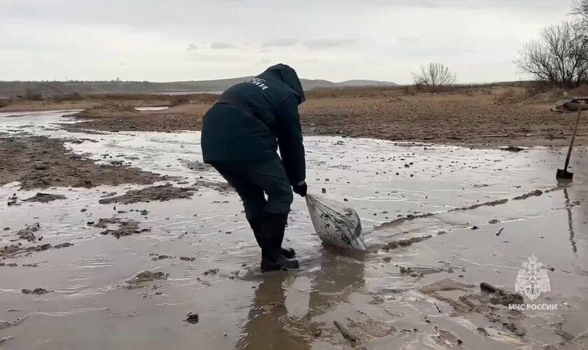 Des sauveteurs interviennent sur une marée noire le long du littoral de la mer Noire, causée par le naufrage de deux pétroliers russes lors d'une tempête dans le détroit de Kertch entre la Crimée et la région de Krasnodar, dans le sud de la Russie, le 15 décembre 2024, image tirée d'un document diffusé par le ministère russe des situations d'urgence le 17 décembre 2024