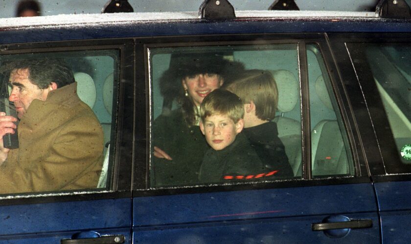 Princes William and Harry with Tiggy Legge-Bourke in a car at Zurich airport in 1995. Pic: PA