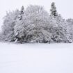 Der poetische Blick auf einen Januar, der 1955 noch ganz anders war