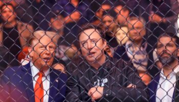 Donald Trump et Elon Musk assistent à un combat de MMA au Madison Square Garden de New York, le 16 novembre 2024