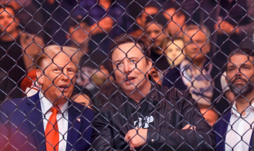 Donald Trump et Elon Musk assistent à un combat de MMA au Madison Square Garden de New York, le 16 novembre 2024