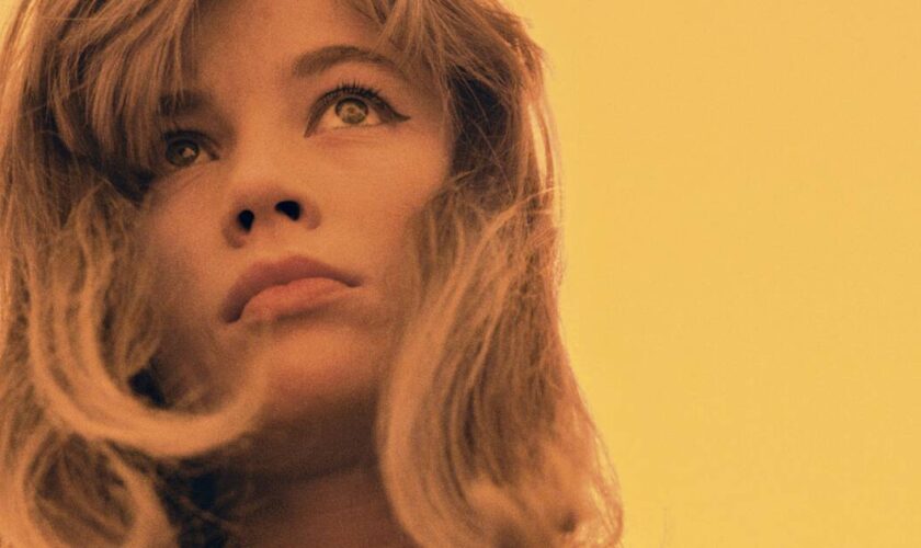 Françoise Hardy, une icône en images