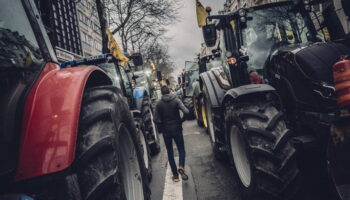 Colère des agriculteurs : la Coordination rurale tente ce lundi de «monter à Paris»