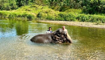 Thailand: Ein Tourist und ein Mahout baden einen Elefanten