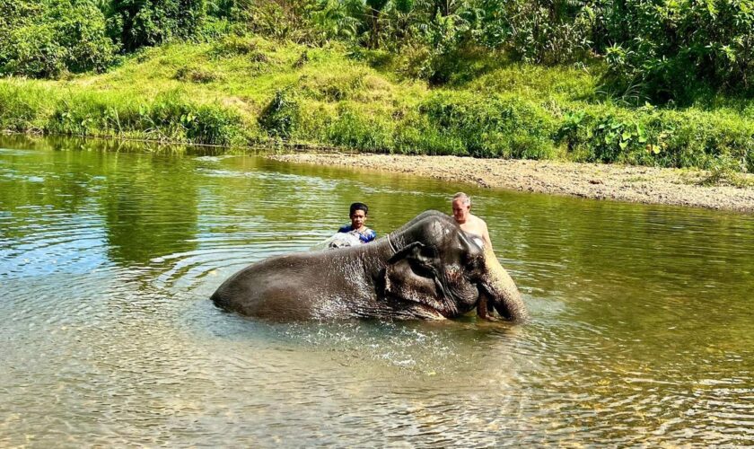 Thailand: Ein Tourist und ein Mahout baden einen Elefanten