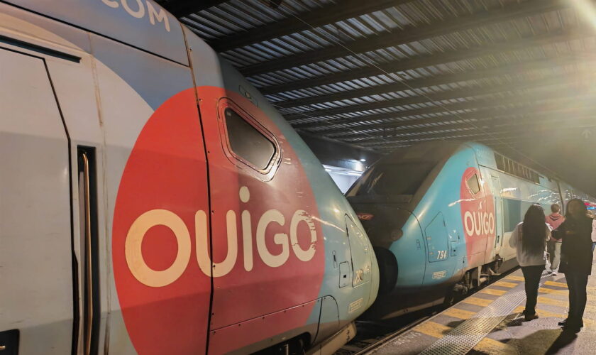 Les insectes et nuisibles trouvés dans les TGV Ouigo par les syndicats donnent le vertige