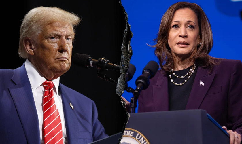 JESSE WATTERS: Of all people, Kamala Harris was the one who made Trump's win official