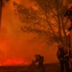 Tausende flüchten vor Waldbrand in Los Angeles