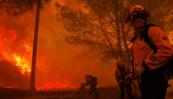 Tausende flüchten vor Waldbrand in Los Angeles