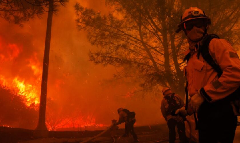 Tausende flüchten vor Waldbrand in Los Angeles