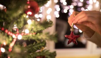 En Belgique, la ville de Gand invite les habitants à manger leur sapin de Noël et se fait recadrer