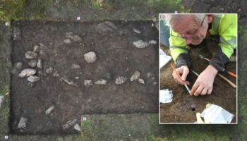 Metal detectorists stumble across 1200-year-old treasure, unusual Christian artifact in Viking graves