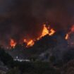 Second Los Angeles-area fire breaks out as firefighters battle raging Palisades inferno