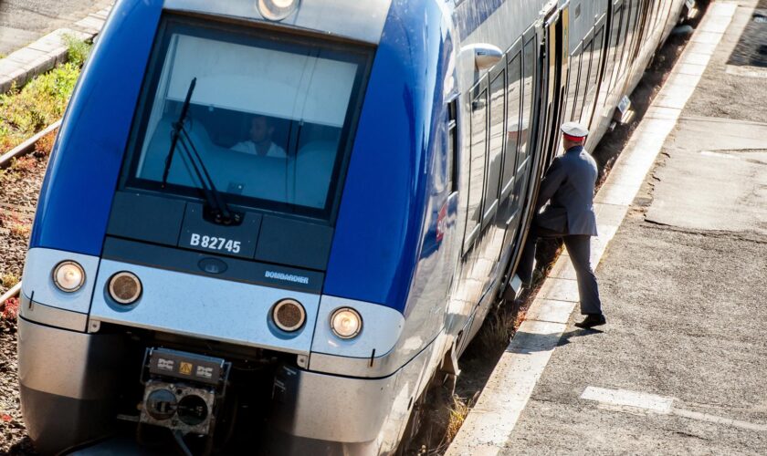 Transports en commun : la SNCF, la RATP et les opérateurs peuvent désormais vérifier l’adresse des fraudeurs