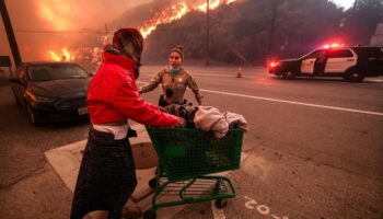 Waldbrände in Kalifornien: Sie fliehen vor den Flammen