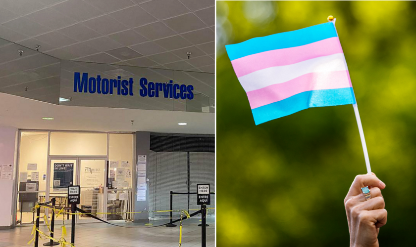 Florida DMV cancels trans TikToker's driver's license after possibly violating law changing gender label