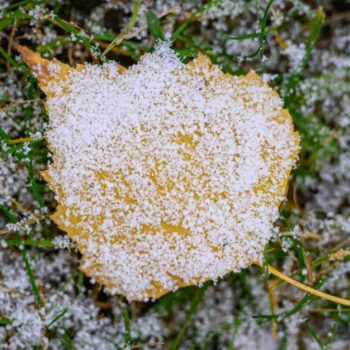 Wetter in Deutschland: Schnee und Regen bei Temperaturen bis 14 Grad