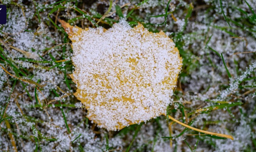 Wetter in Deutschland: Schnee und Regen bei Temperaturen bis 14 Grad