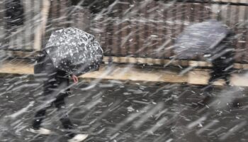 Où va-t-il neiger en France dans les prochains jours, selon Météo France