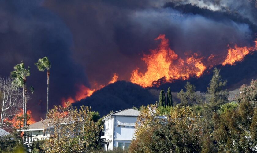 Incendies à Los Angeles : les vents de Santa Ana, ce phénomène météo qui attise les flammes