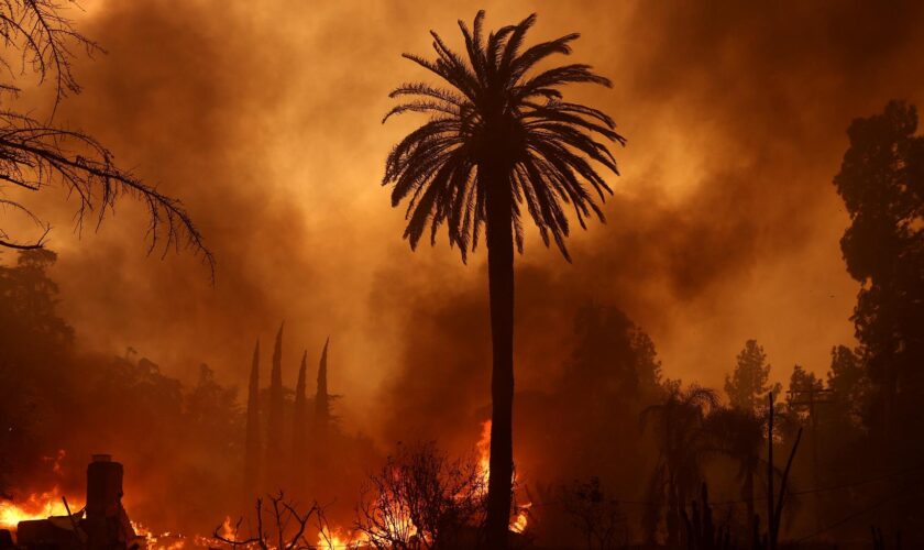 Les Critics Choice Awards annulés à Los Angeles à cause des incendies qui ravagent la ville