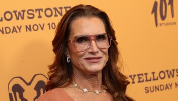 Brooke Shields reveals plastic surgeon added ‘little bonus’ without her consent to labia surgery