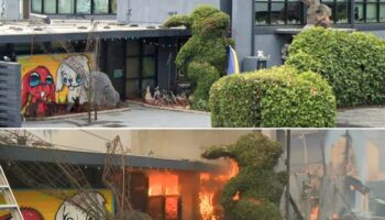 Bunny Museum, iconic Altadena location, burns to the ground in wildfires