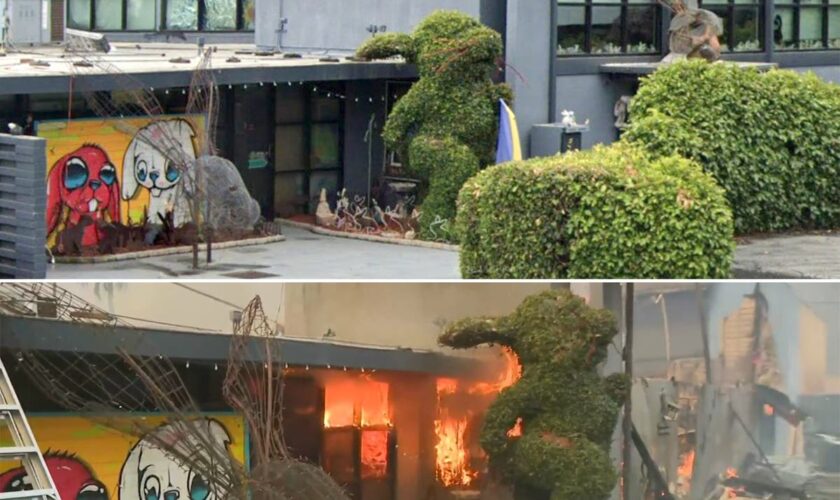 Bunny Museum, iconic Altadena location, burns to the ground in wildfires