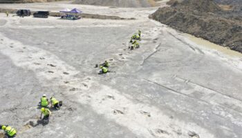 'Dinosaur highway' footprints dating back 166 million years discovered in England