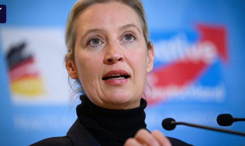 Liveblog zur Bundestagswahl: Weidel im Gespräch mit Musk: „Hitler war Kommunist“