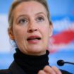 Liveblog zur Bundestagswahl: Weidel im Gespräch mit Musk: „Hitler war Kommunist“