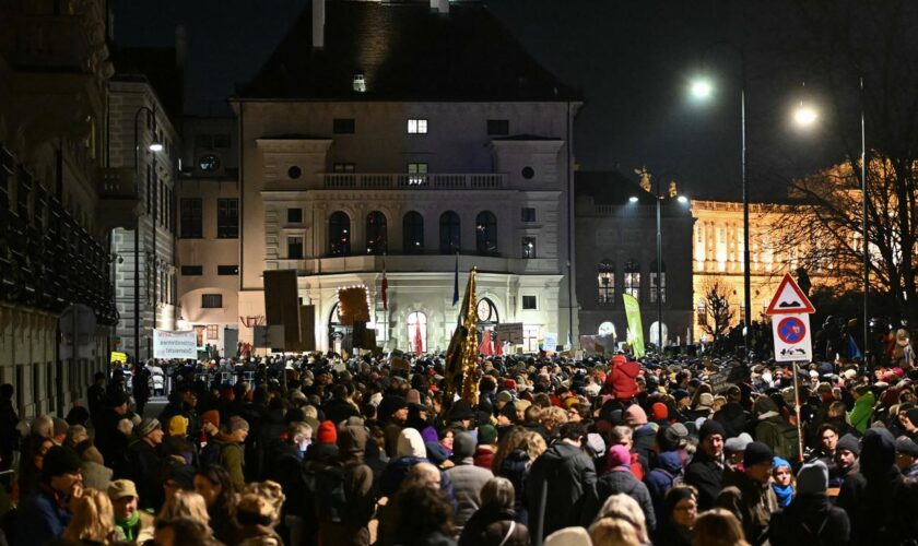 Österreich: Tausende demonstrieren in Wien gegen mögliche Regierung mit FPÖ