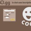 Coco : Isaac Steidl, le fondateur du site d’annonces cité notamment au procès des viols de Mazan, mis en examen