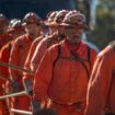 Incendies à Los Angeles : un quart des pompiers luttant contre le feu sont des prisonniers