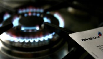 Britain’s gas storage levels ‘concerningly low’ after extreme cold, says British Gas owner