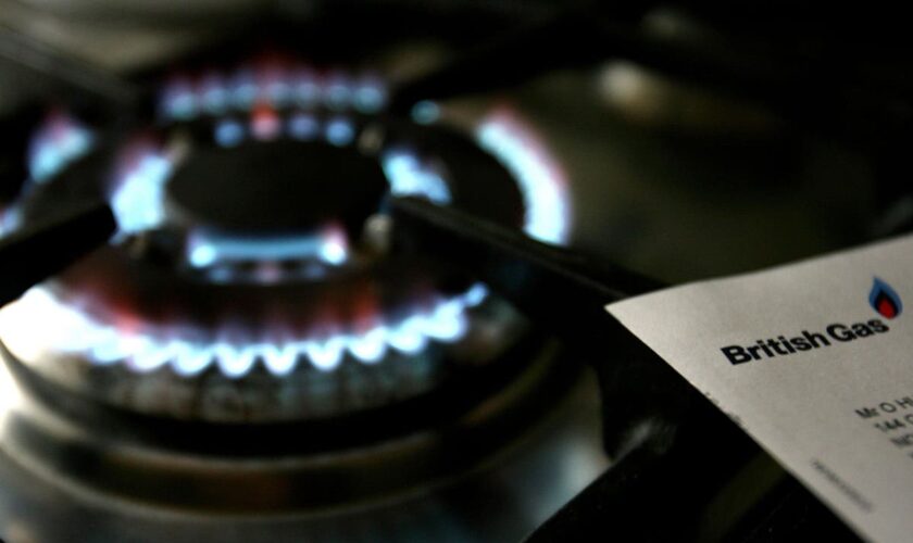 Britain’s gas storage levels ‘concerningly low’ after extreme cold, says British Gas owner