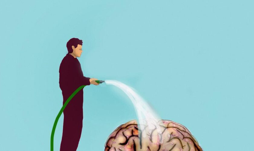 Des scientifiques expliquent comment notre cerveau se nettoie quand nous dormons