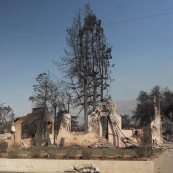 Thousands of buildings have been burned to the ground