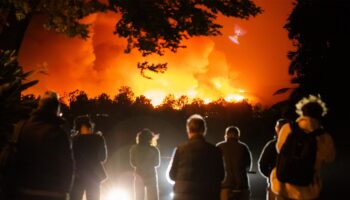 Los Angeles wildfires: City's infamous red tape preventing private security from helping homeowners, firms say