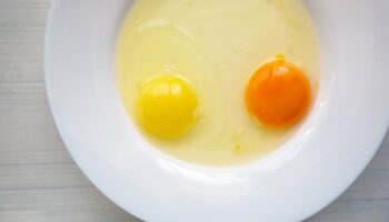 Does the color of an egg's yolk mean anything?