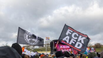 En Allemagne, des milliers de personnes manifestent contre un congrès du parti d’extrême droite AfD