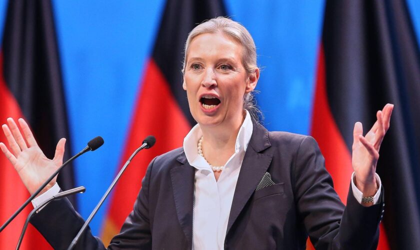 Alice Weidel hält eine Rede auf dem AfD-Parteitag