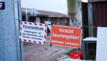 Ausbruch in Büffelherde: Klarheit über Virustyp der Maul- und Klauenseuche