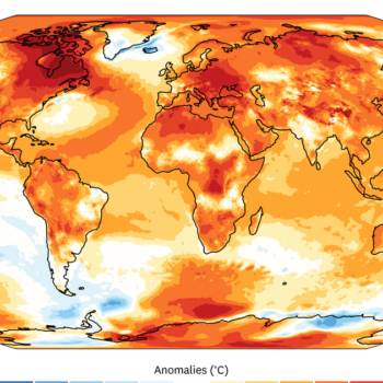 “La chute du premier domino” : le réchauffement de la planète a dépassé le seuil symbolique de 1,5 °C en 2024