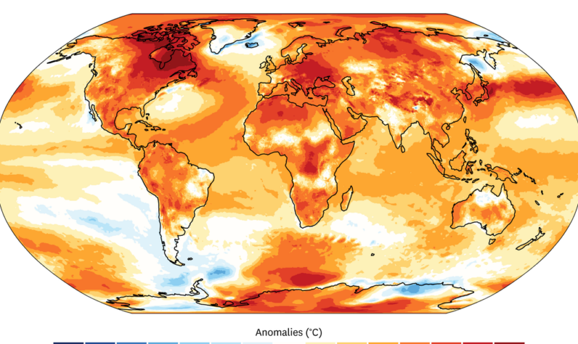 “La chute du premier domino” : le réchauffement de la planète a dépassé le seuil symbolique de 1,5 °C en 2024