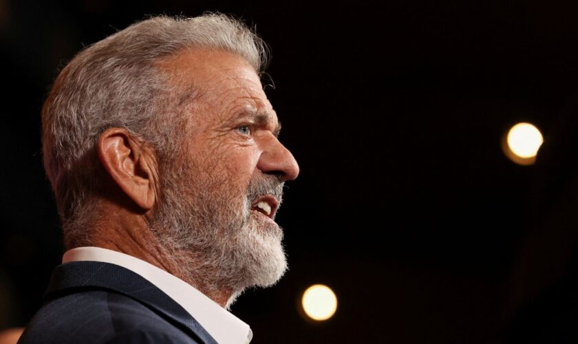 'Nothing left' of Mel Gibson's house as he urges California governor to 'spend less on hair gel'